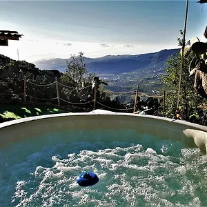 https://rural-cave-house-el-refugio-de-miguel.in-canary-islands.com